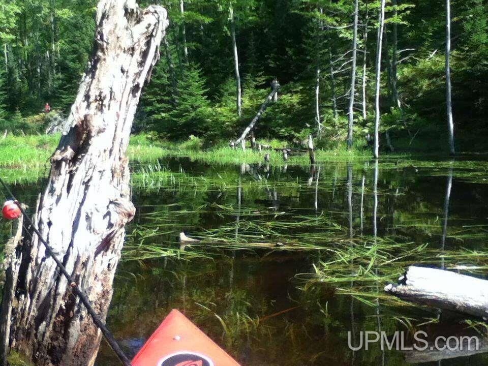 36004 Pike River Road Chassell, MI 49916 - Photo 9 of 13 Gallery Image 9