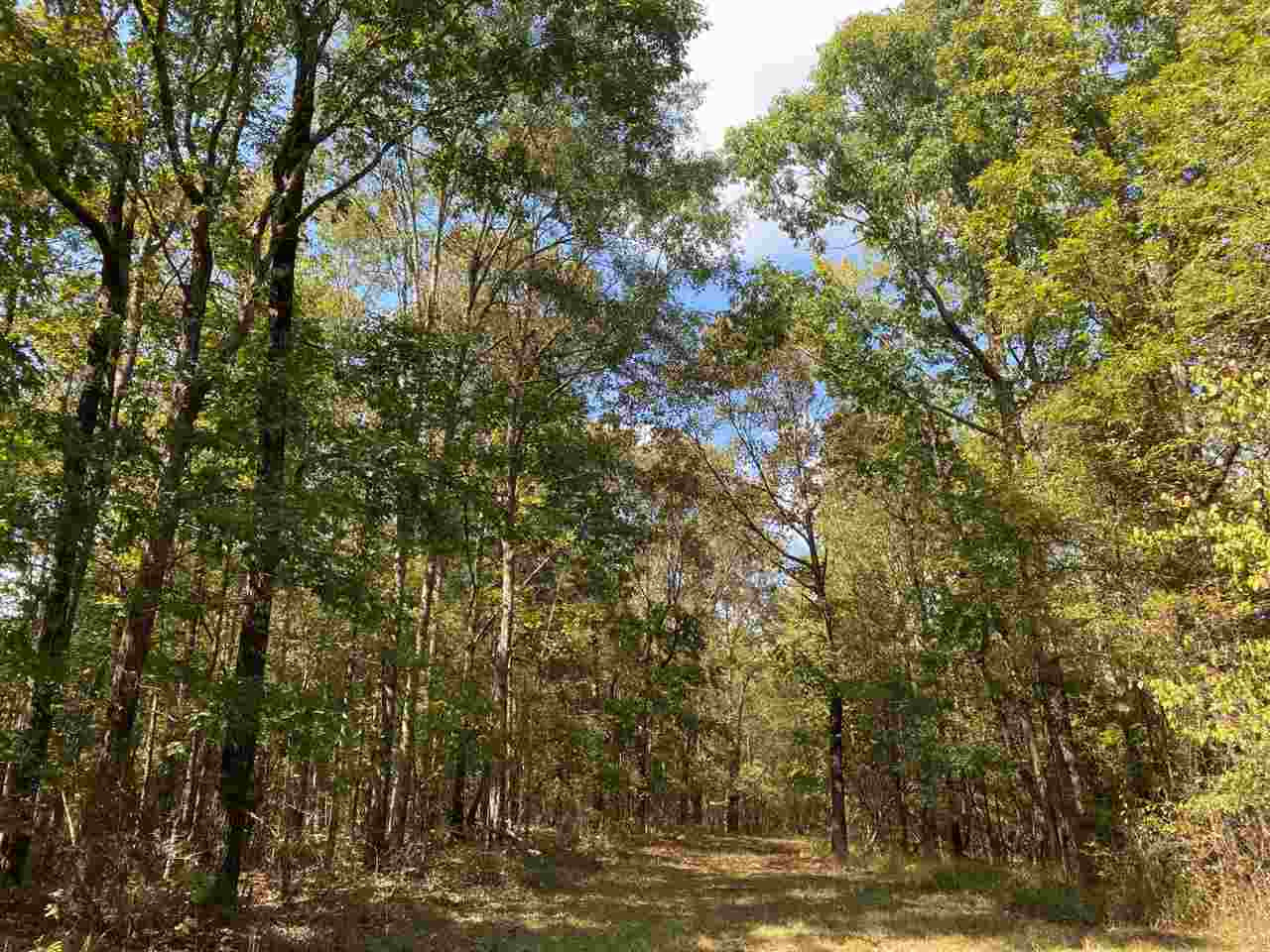 0 Myers Road Raymond, MS 39154 - Photo 1 of 24 Photo 1