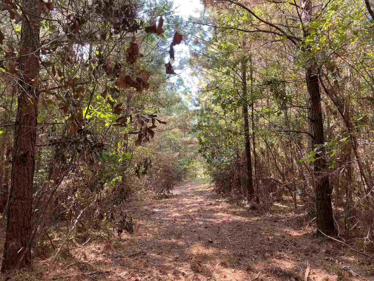 0 Myers Road Raymond, MS 39154 - Photo 14 of 24 Photo 14