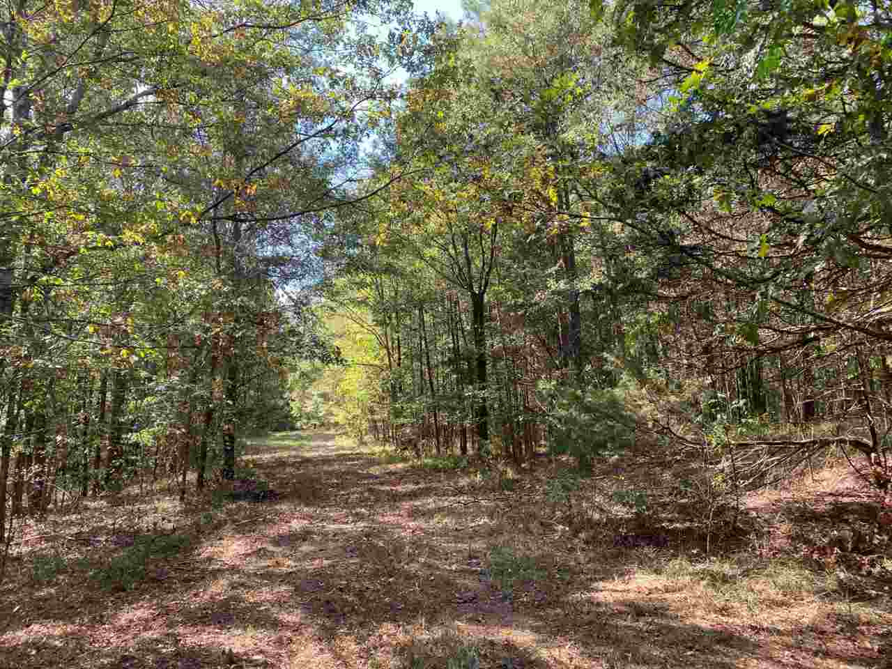 0 Myers Road Raymond, MS 39154 - Photo 3 of 24 Photo 3