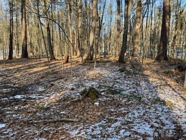 0 Mathews Road South Deerfield, MA 01373 - Photo 9 of 23 Gallery Image 9