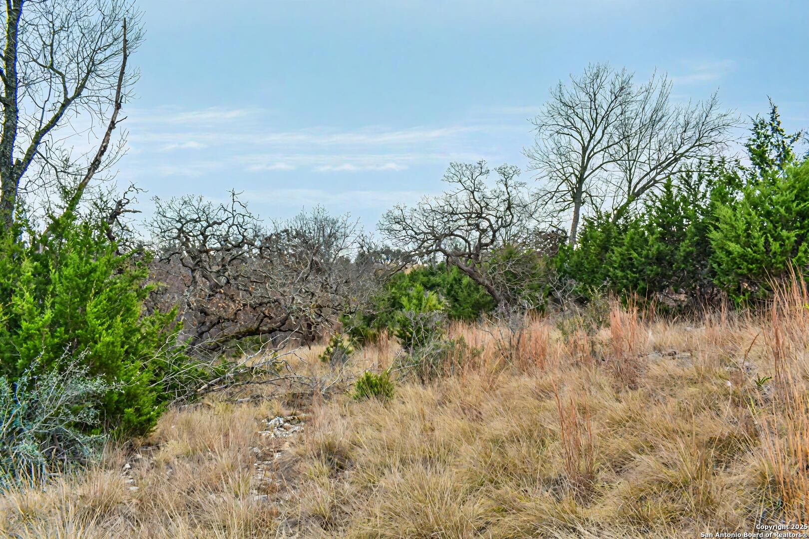 361 Echo Falls Road Comfort, TX 78013 - Photo 5 of 11