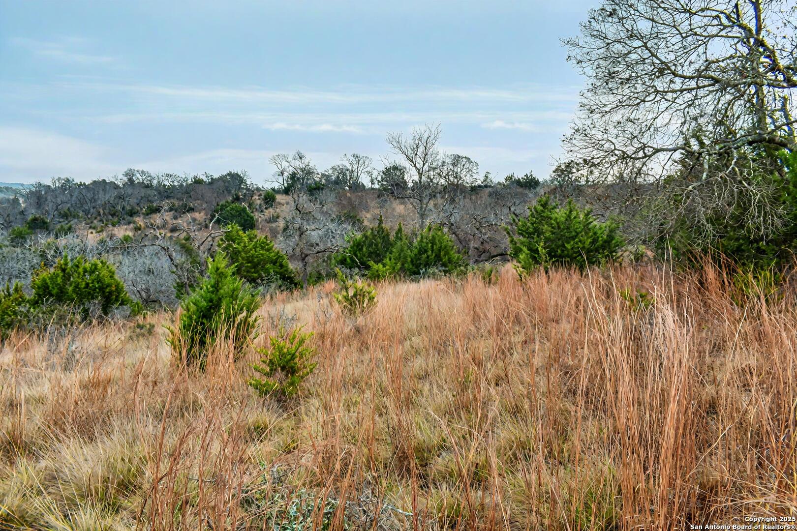 361 Echo Falls Road Comfort, TX 78013 - Photo 7 of 11