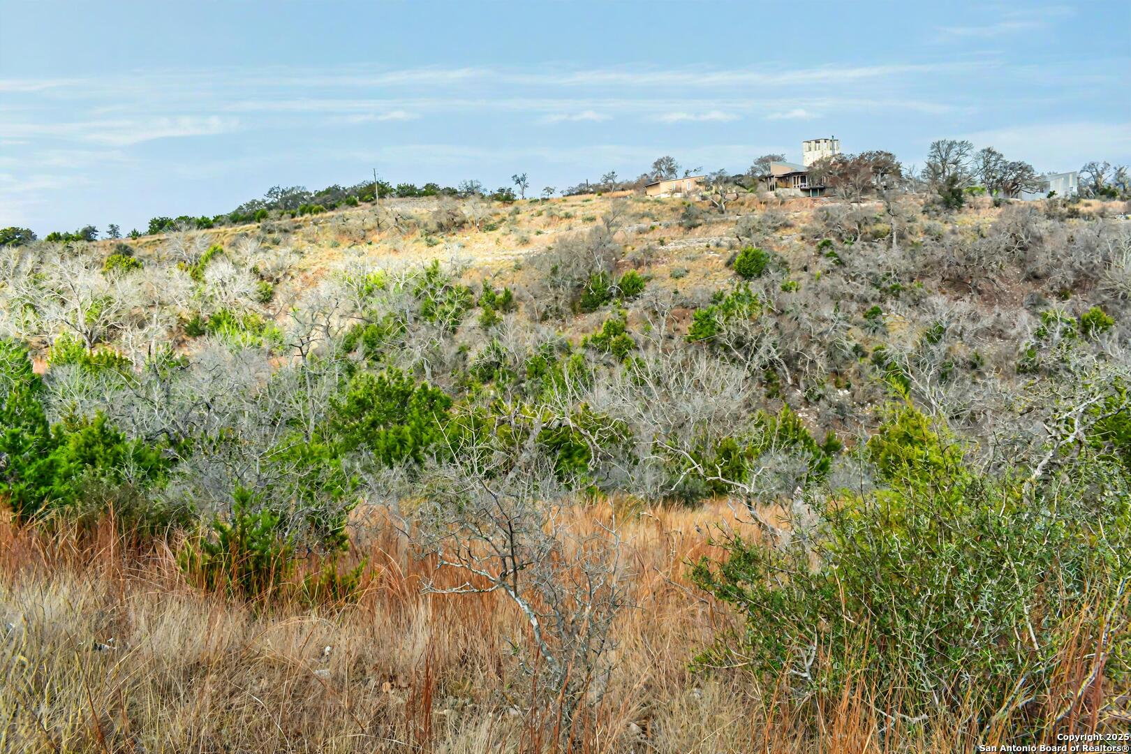 361 Echo Falls Road Comfort, TX 78013 - Photo 9 of 11