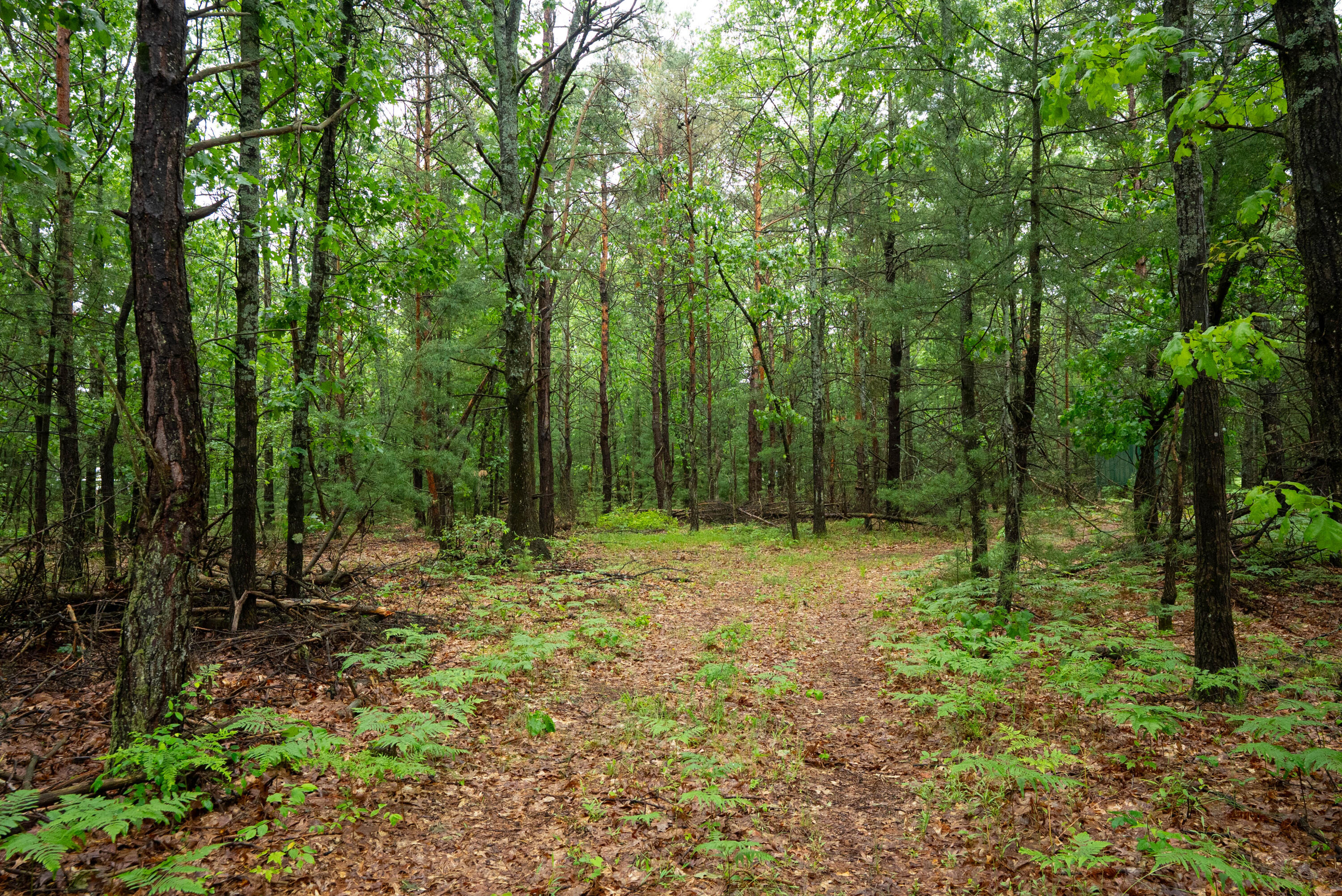 8.09 North A N Centerline Road White Cloud, MI 49349 - Photo 10 of 41 DSC00395