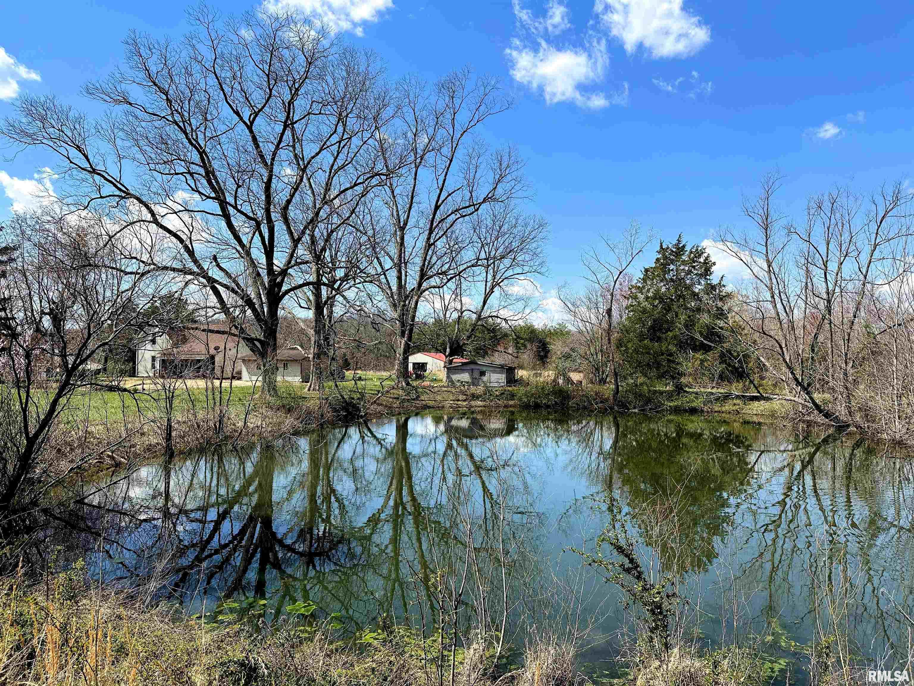 1925 Murphy Road Creal Springs, IL 62922 - Photo 5 of 11