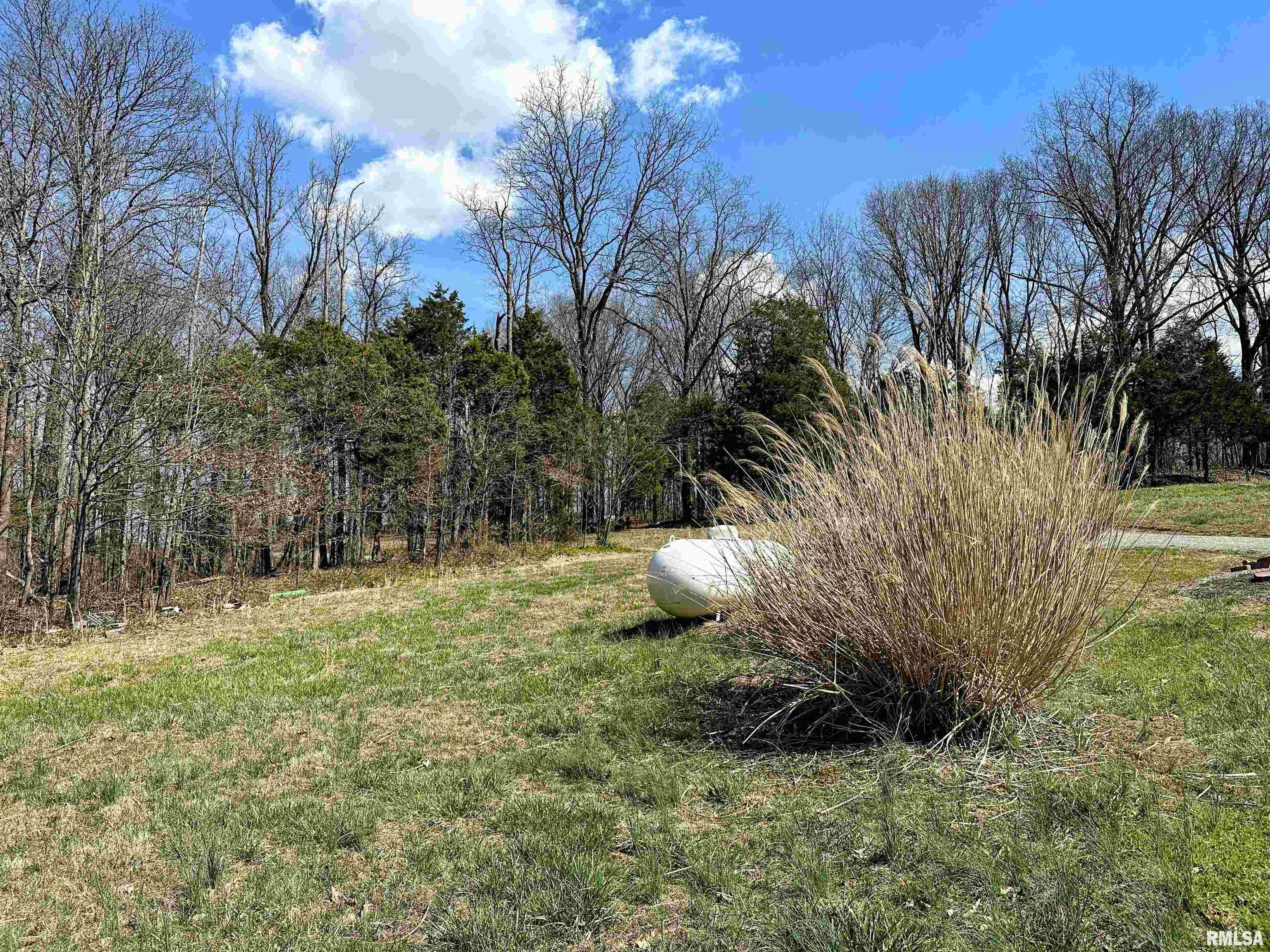 1925 Murphy Road Creal Springs, IL 62922 - Photo 8 of 11