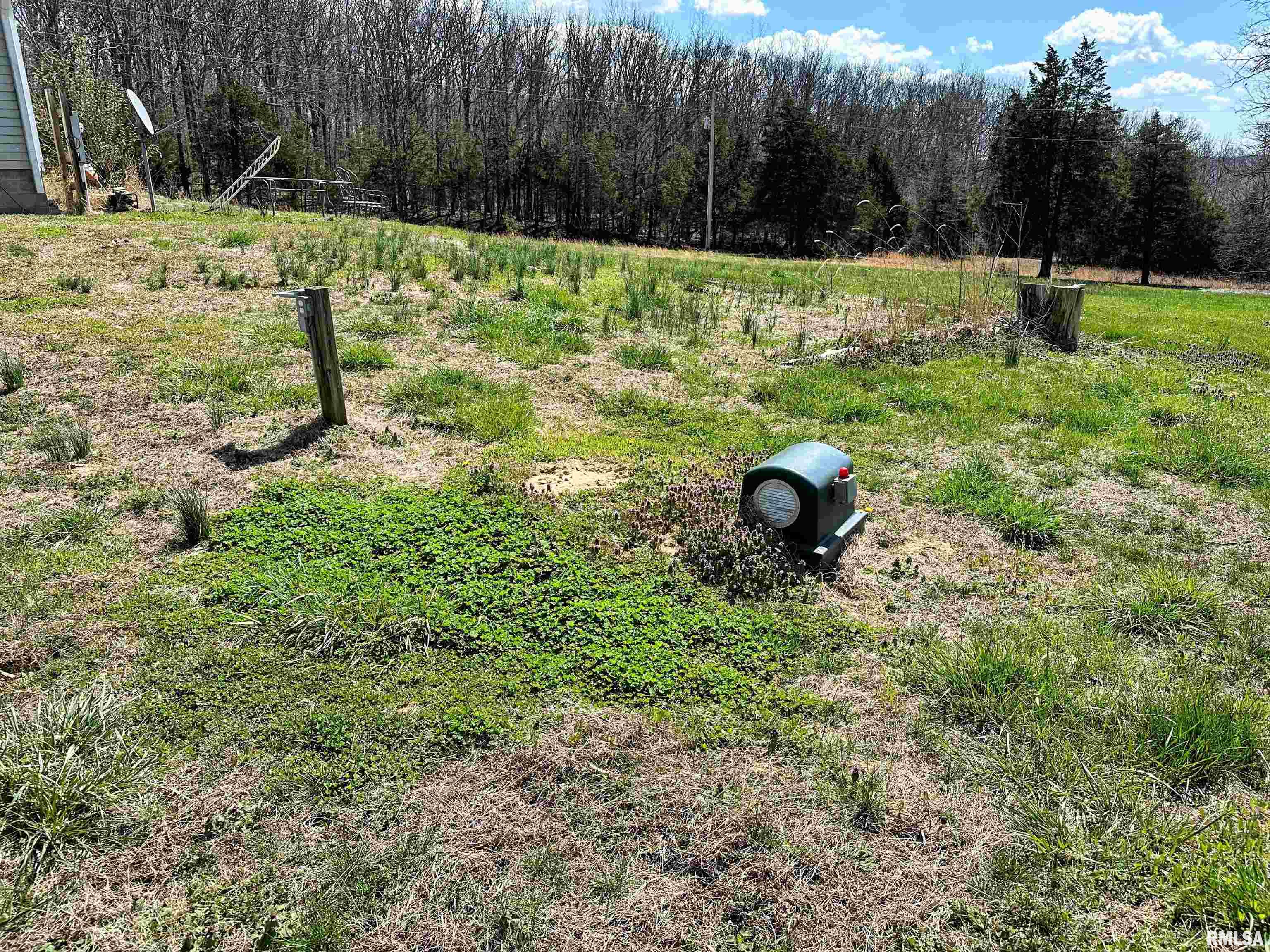 1925 Murphy Road Creal Springs, IL 62922 - Photo 9 of 11