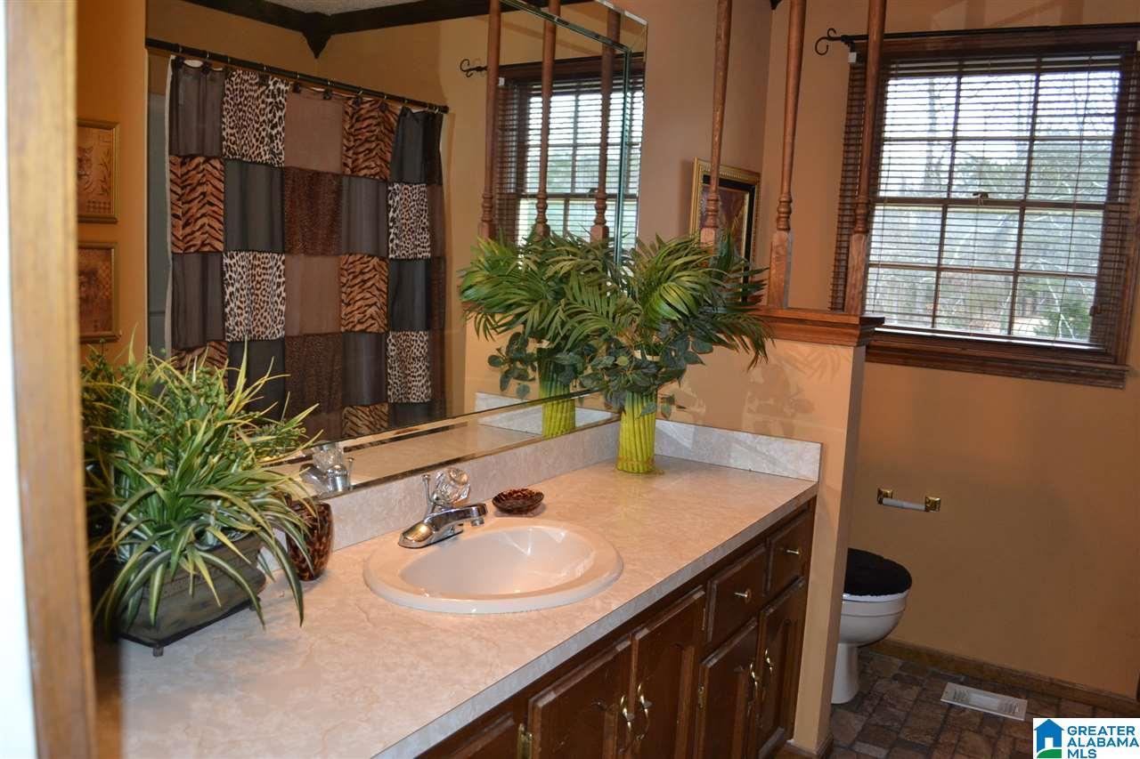 3992 Red Valley Road Remlap, AL 35133 - Photo 11 of 43