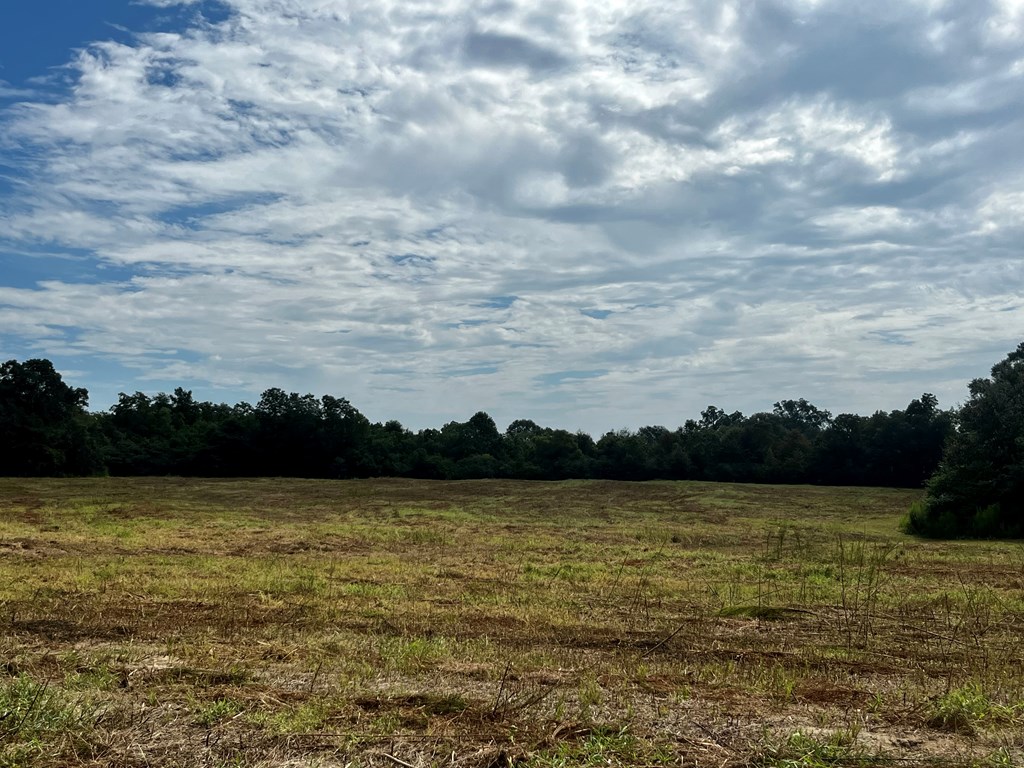 149 East County Road Slocomb, AL 36375 - Photo 27 of 40
