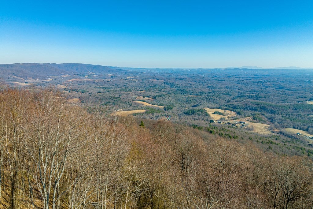 Lot 87 Reflections Point Trail, Unit 87 Fancy Gap, VA 24328 - Photo 4 of 6 Gallery Image 4