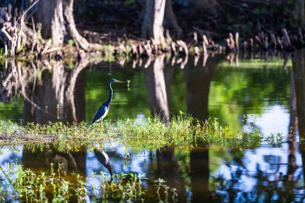 $1,200,000 | 1975 Southwest St Andrews Drive, Palm City, FL 34990