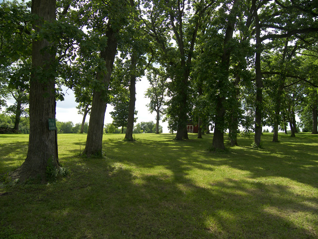 1914 Ole Hickory Road Amboy, IL 61310 - Photo 4 of 6