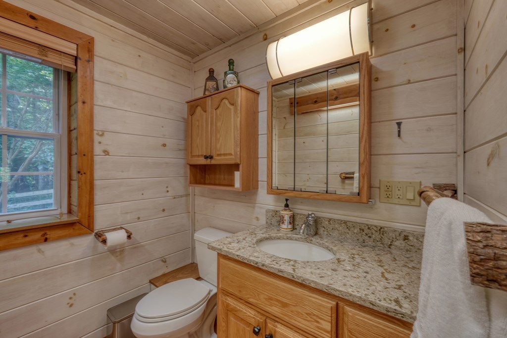 317 Collins Creek Road Hiawassee, GA 30546 - Photo 21 of 75