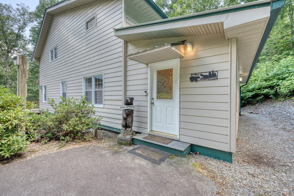 317 Collins Creek Road Hiawassee, GA 30546 - Photo 4 of 75