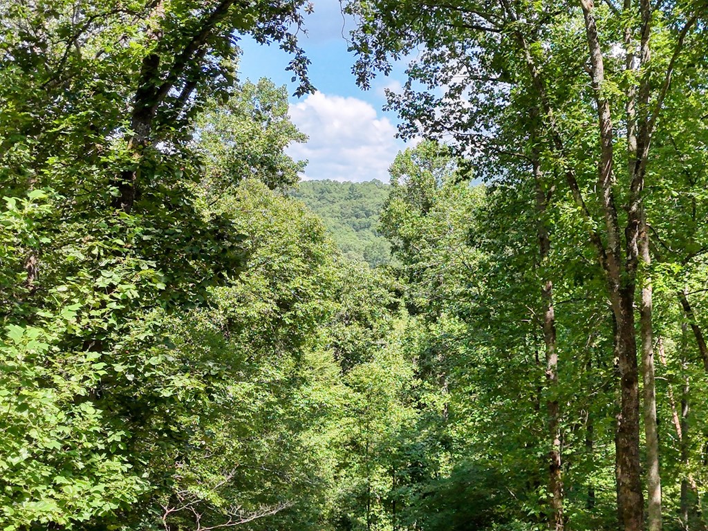 317 Collins Creek Road Hiawassee, GA 30546 - Photo 70 of 75