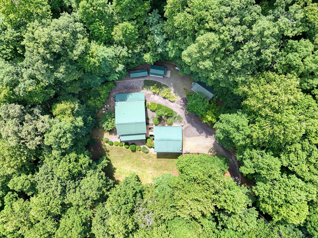 317 Collins Creek Road Hiawassee, GA 30546 - Photo 73 of 75