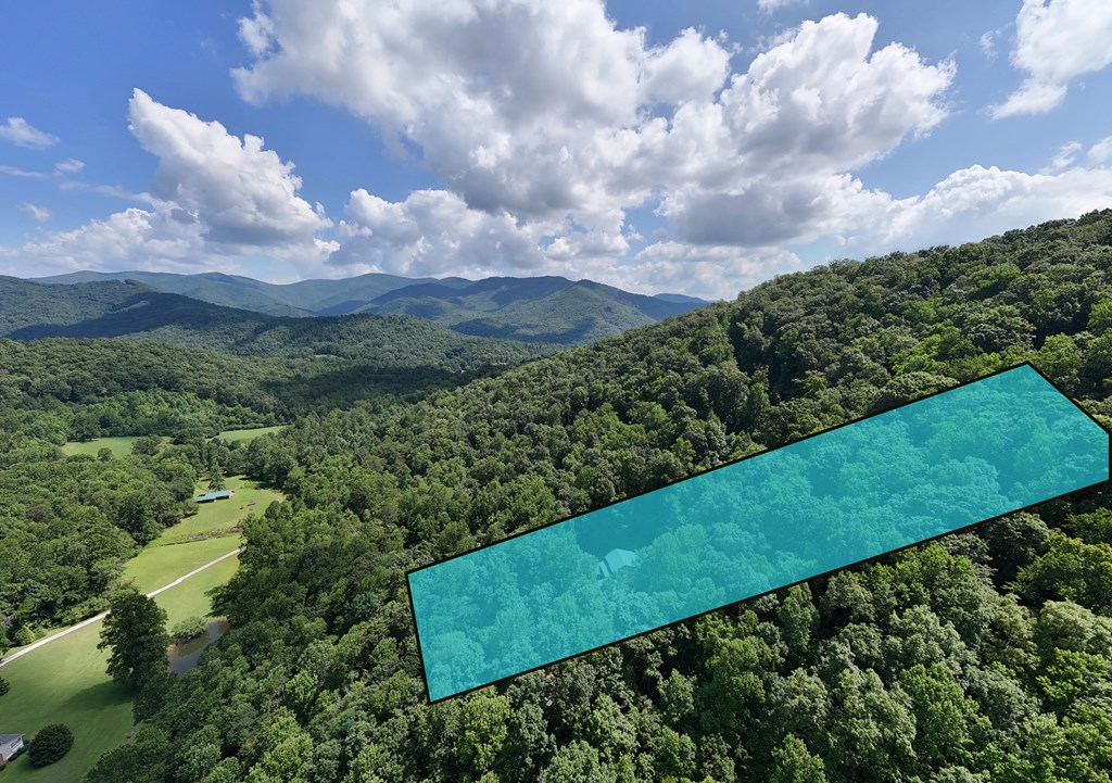 317 Collins Creek Road Hiawassee, GA 30546 - Photo 75 of 75