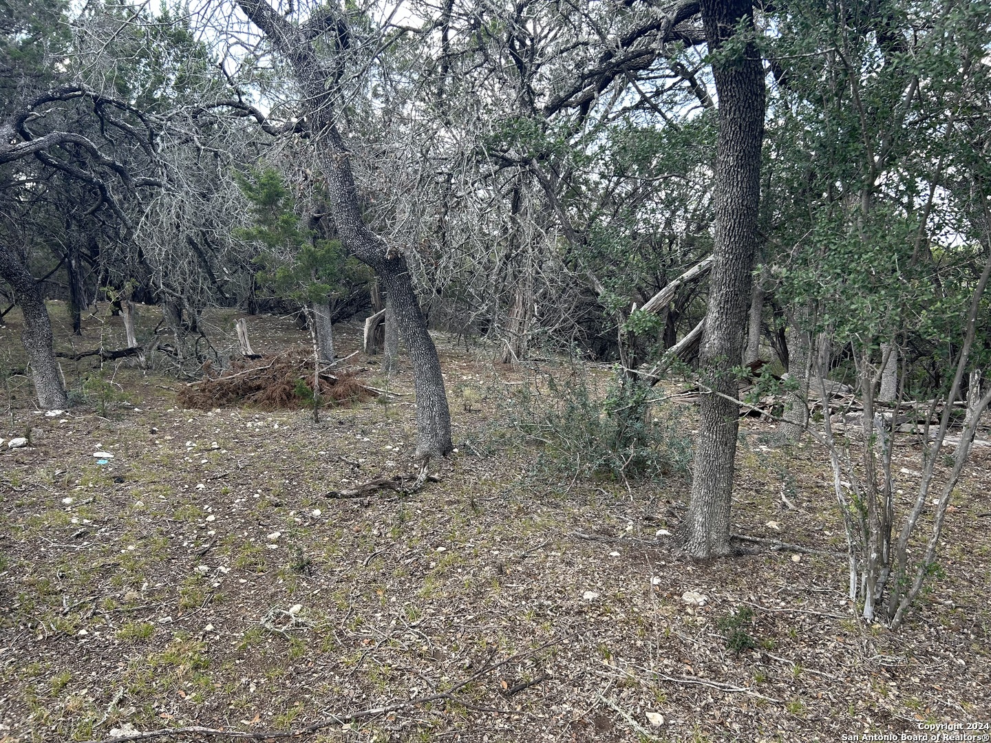 Lot 172 Camp Verde Road Bandera, TX 78003 - Photo 1 of 1 Gallery Image 1