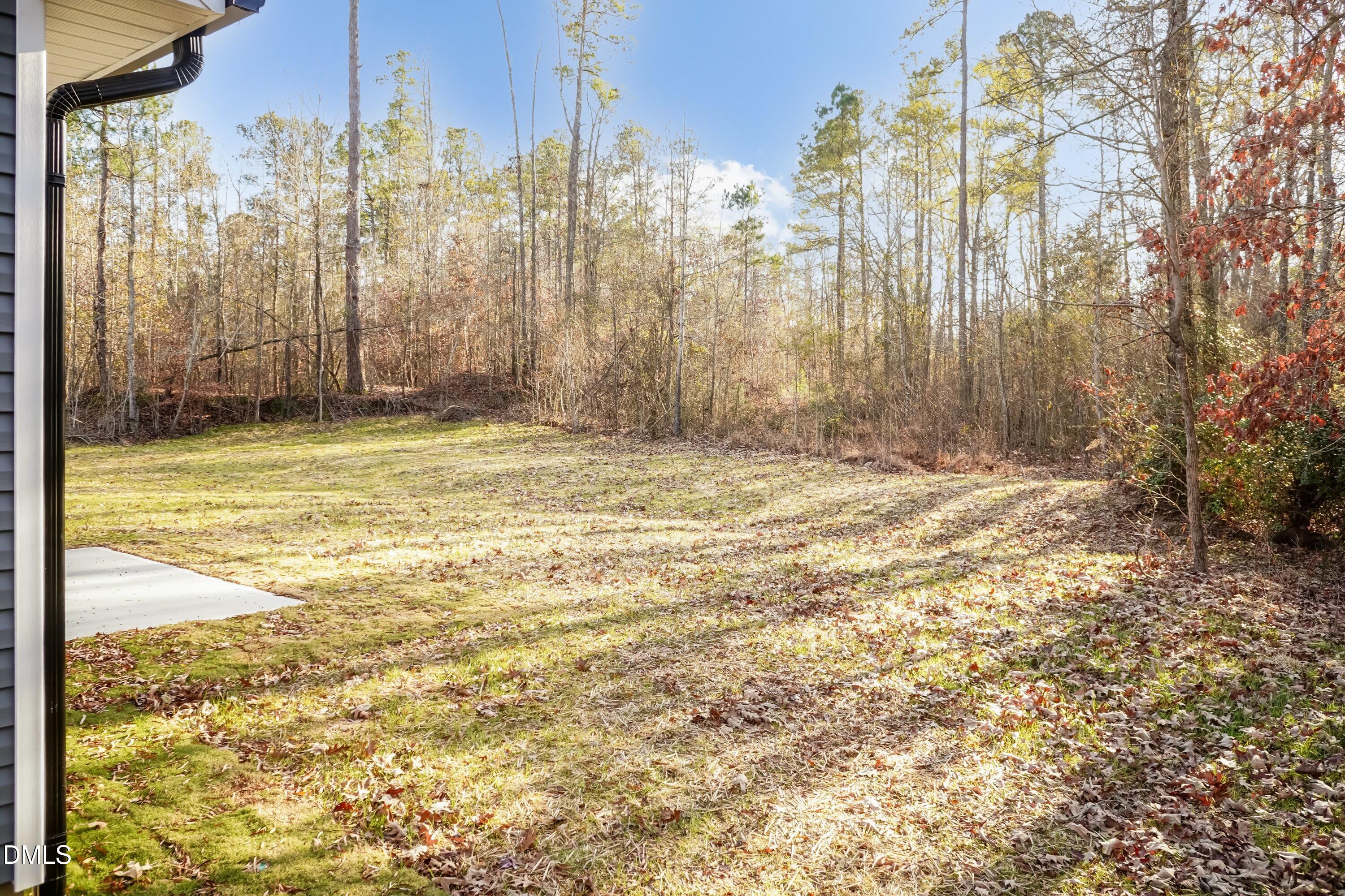 68 Streamline Court Lillington, NC 27546 - Photo 29 of 45 Back Yard 01