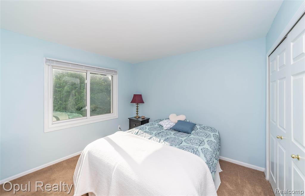 3830 Kossuth Road Lake Orion, MI 48360 - Photo 19 of 27