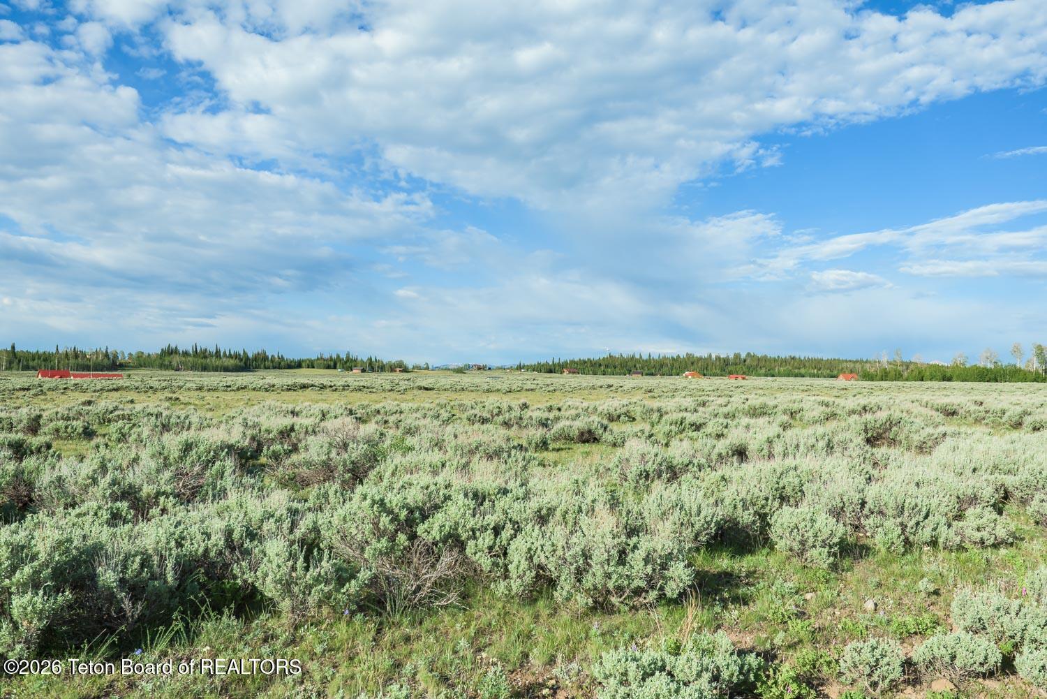 4 Aspen Ridge Road Daniel, WY 83115 - Photo 24 of 36 DSC_5348