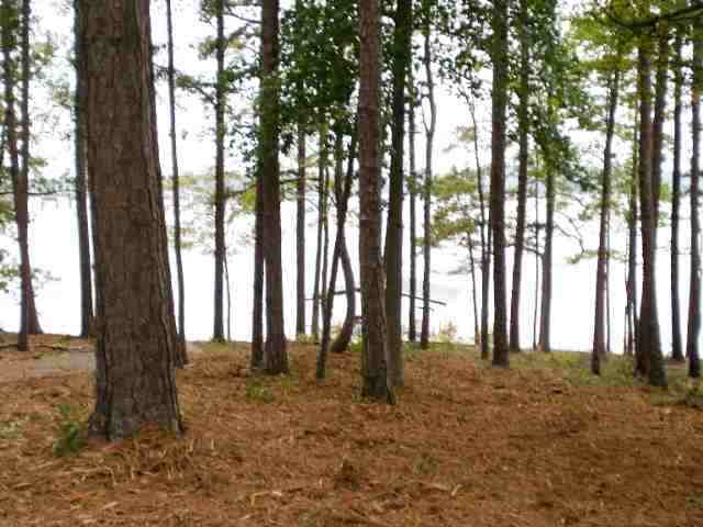 313 Inland Drive Anderson, SC 29625 - Photo 8 of 14 Gallery Image 8