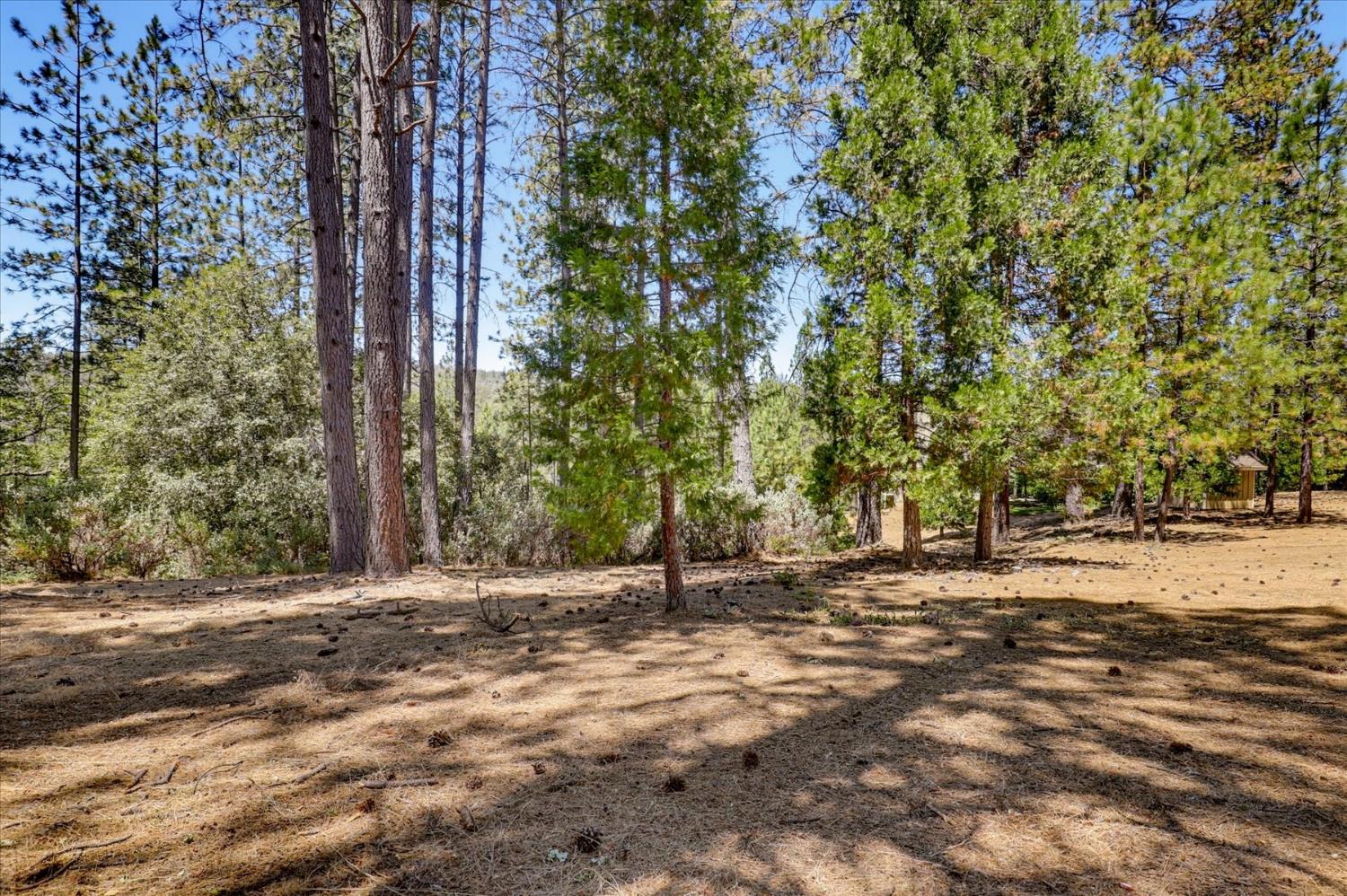 16300 Kiwi Road Grass Valley, CA 95949 - Photo 46 of 88 Gallery Image 46