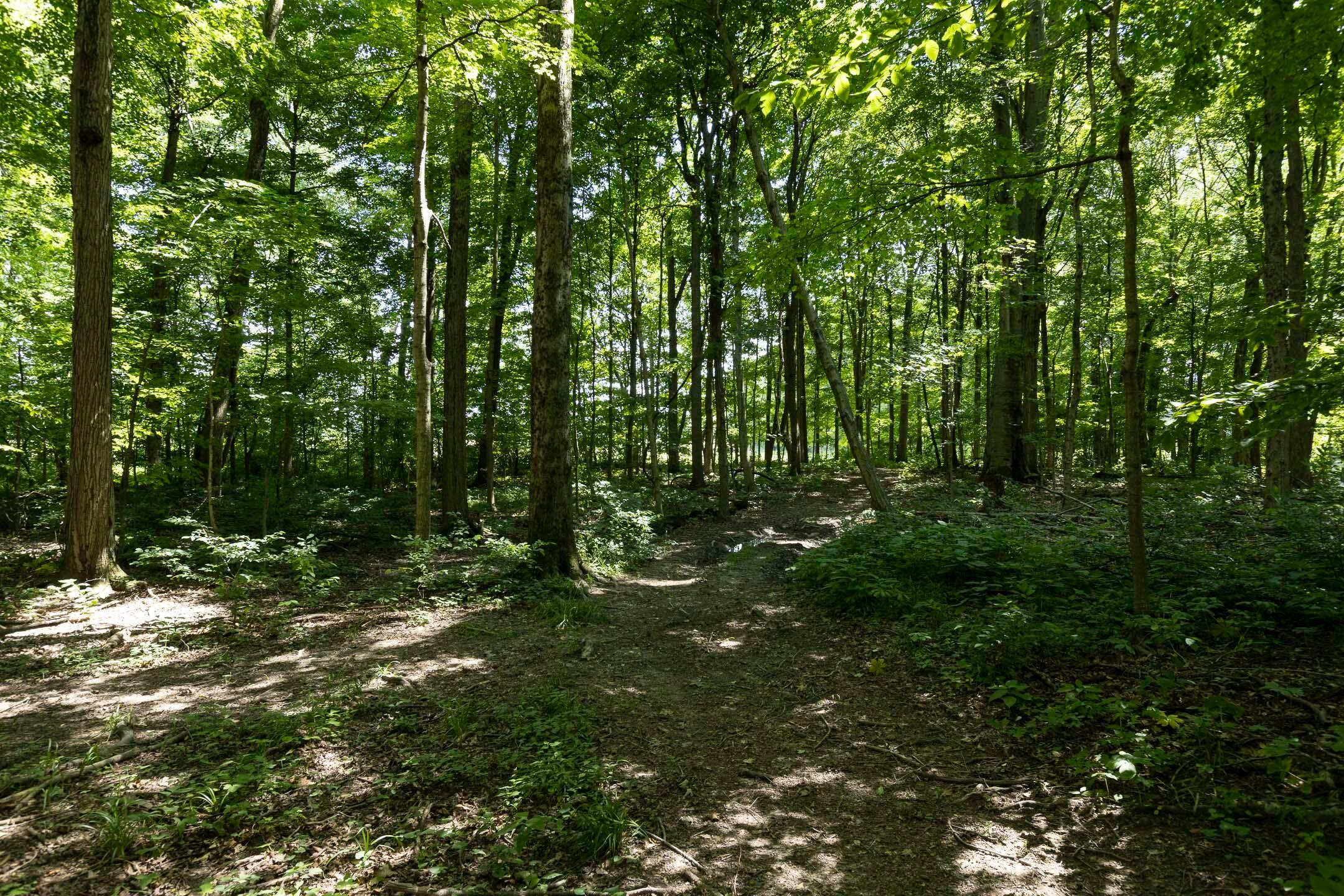 16357 Hartford Road Sunbury, OH 43074 - Photo 18 of 27 16357 Hartford Road - 018