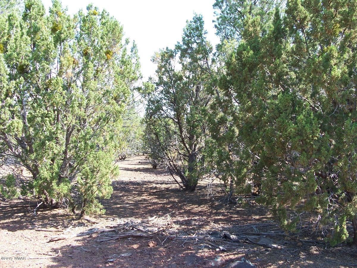 Lot 90 McPherson Road Vernon, AZ 85940 - Photo 11 of 13