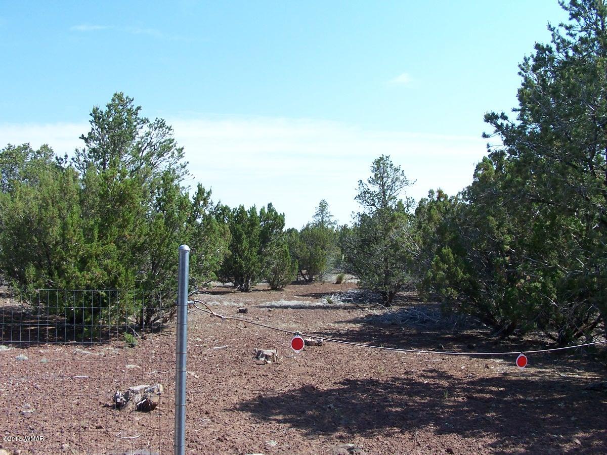 Lot 90 McPherson Road Vernon, AZ 85940 - Photo 12 of 13