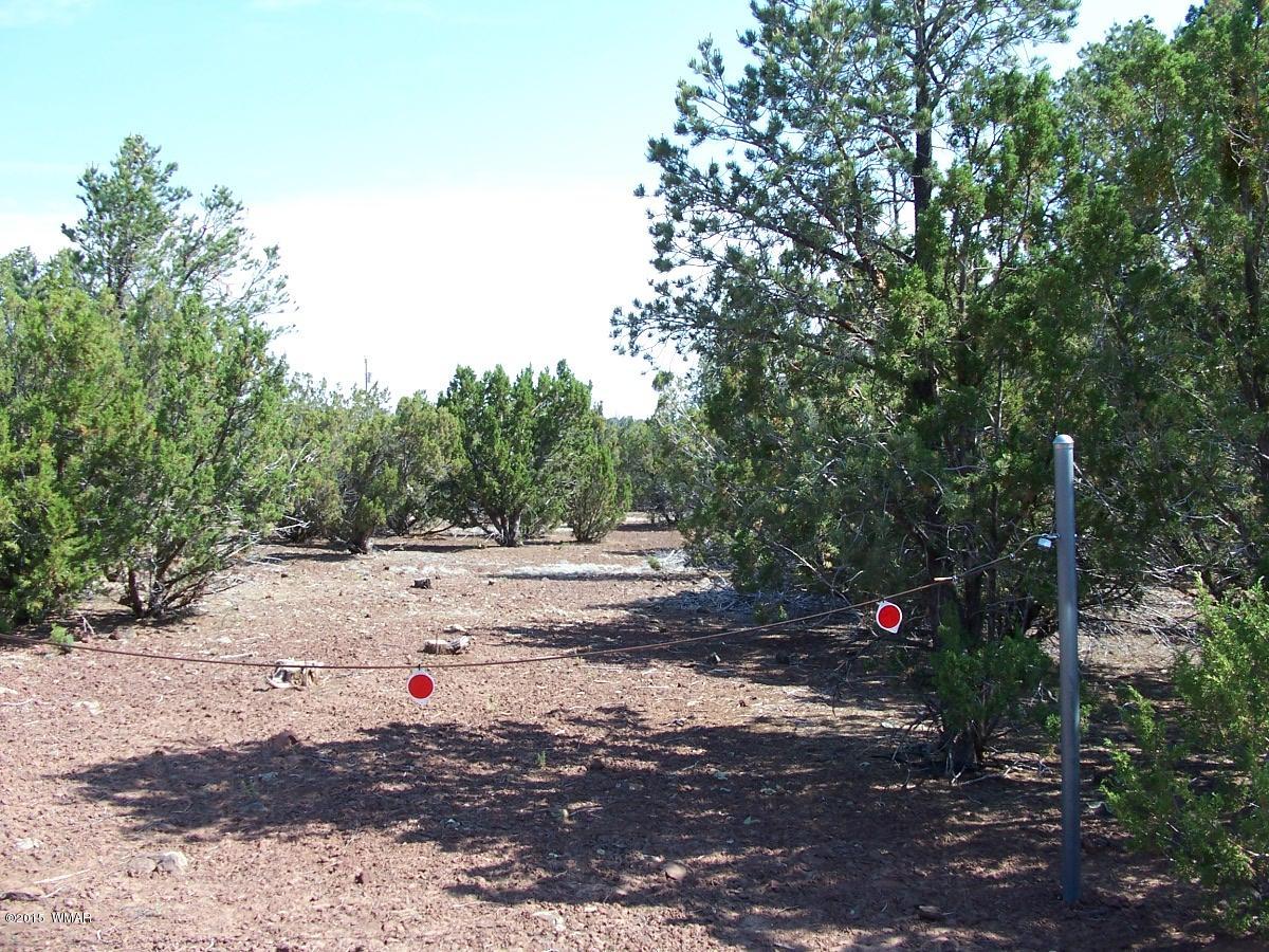 Lot 90 McPherson Road Vernon, AZ 85940 - Photo 13 of 13
