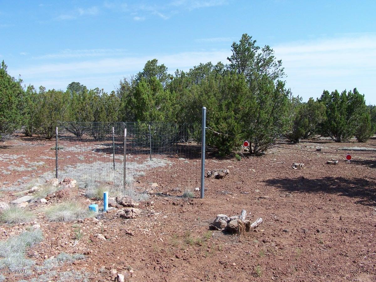 Lot 90 McPherson Road Vernon, AZ 85940 - Photo 2 of 13
