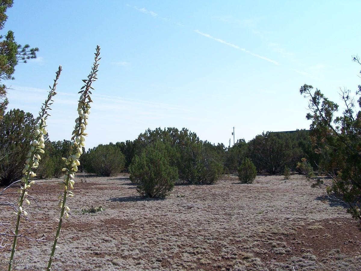 Lot 90 McPherson Road Vernon, AZ 85940 - Photo 3 of 13