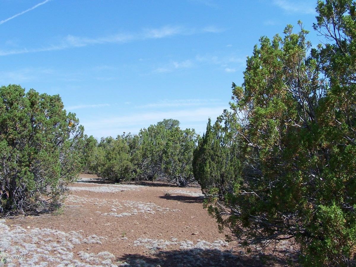 Lot 90 McPherson Road Vernon, AZ 85940 - Photo 4 of 13