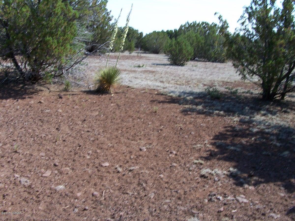Lot 90 McPherson Road Vernon, AZ 85940 - Photo 5 of 13