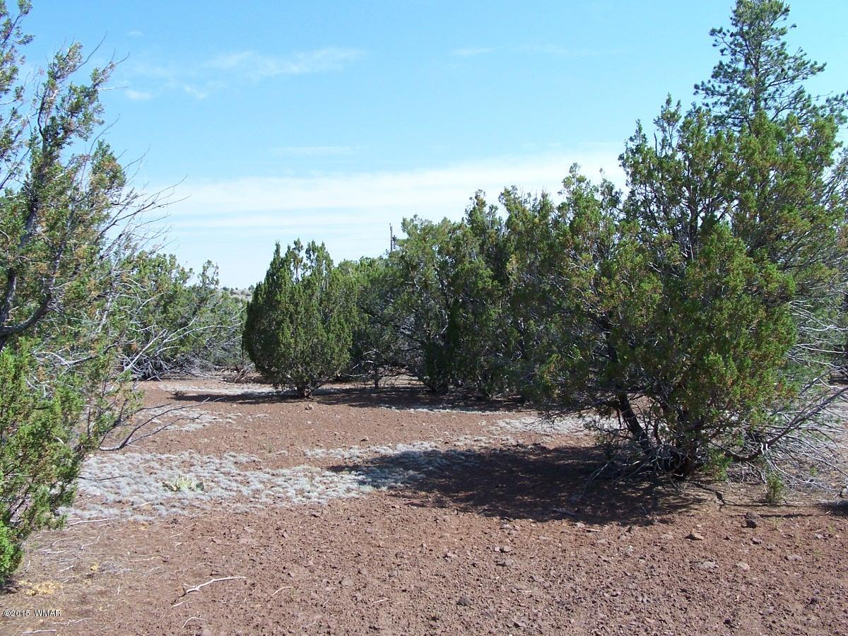 Lot 90 McPherson Road Vernon, AZ 85940 - Photo 6 of 13