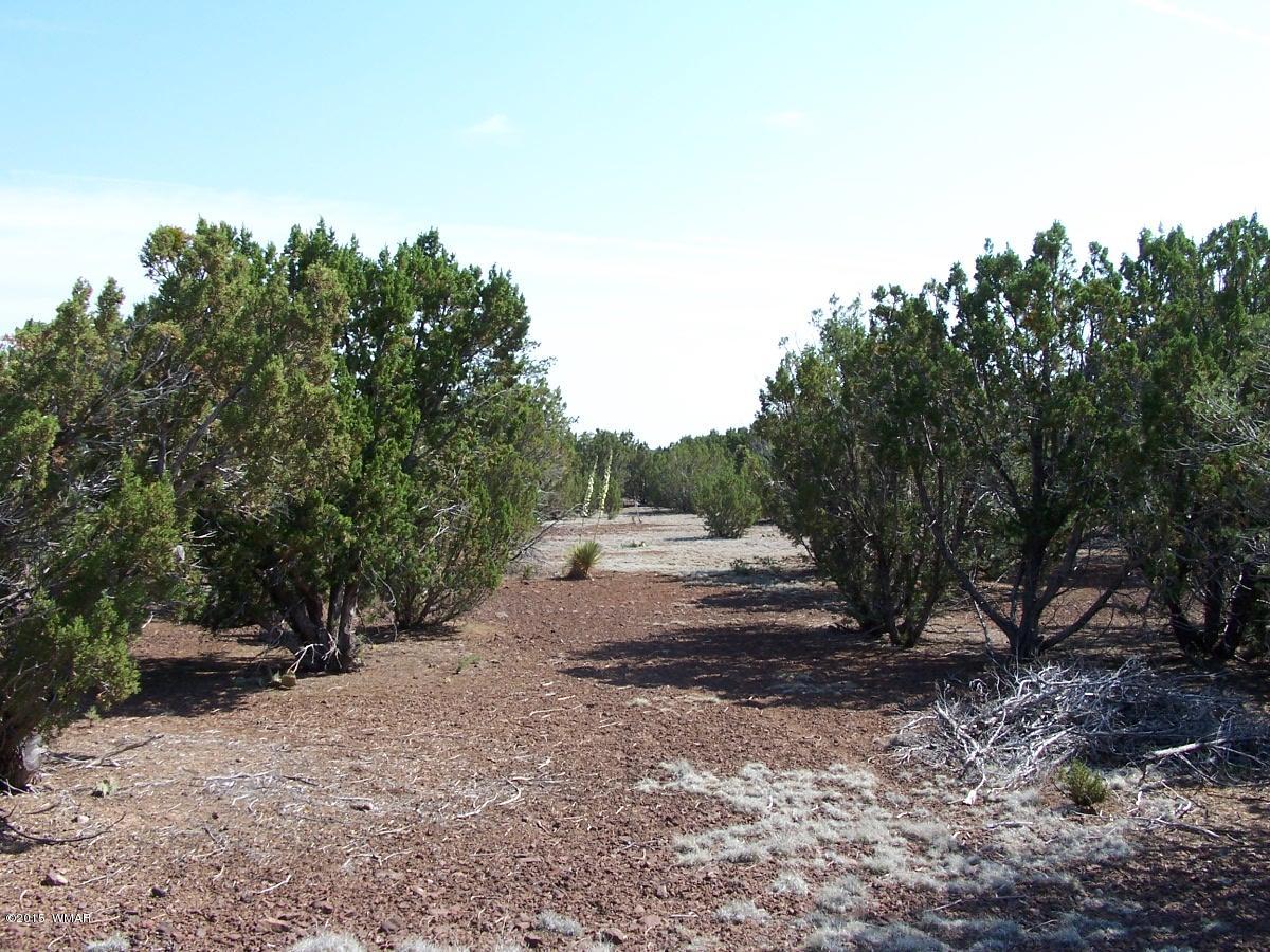 Lot 90 McPherson Road Vernon, AZ 85940 - Photo 7 of 13