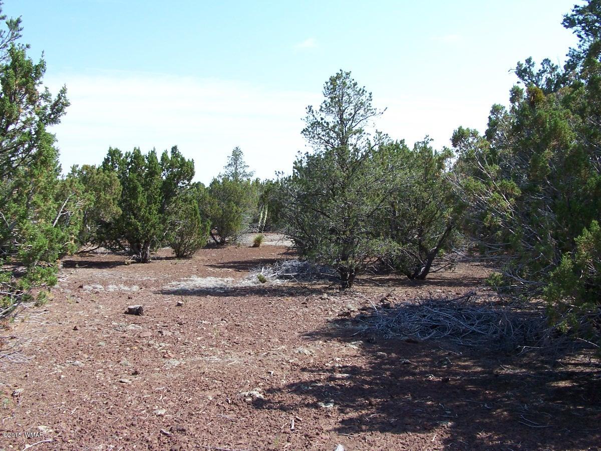 Lot 90 McPherson Road Vernon, AZ 85940 - Photo 8 of 13