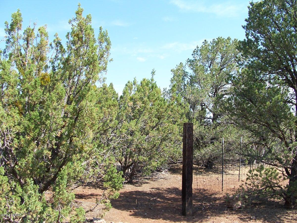Lot 90 McPherson Road Vernon, AZ 85940 - Photo 9 of 13