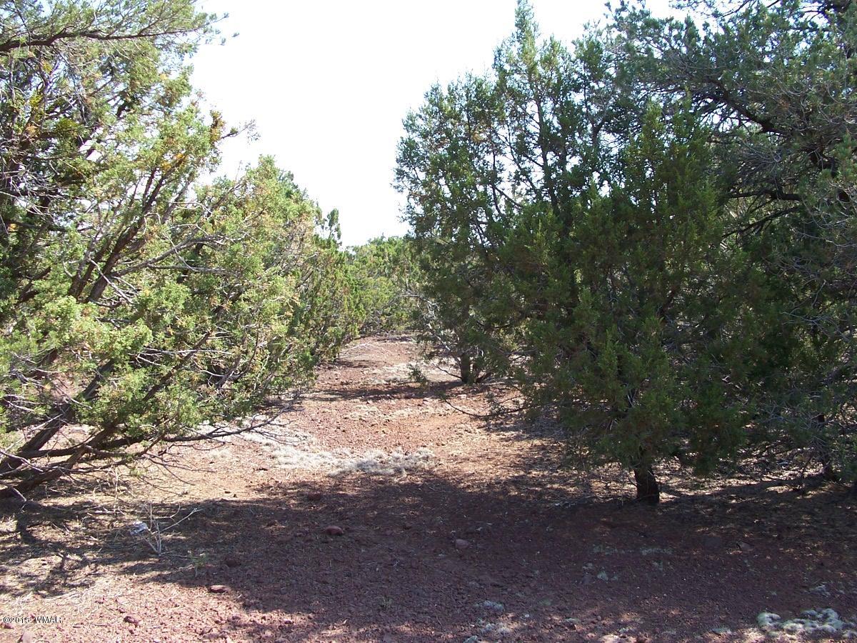 Lot 90 McPherson Road Vernon, AZ 85940 - Photo 10 of 13