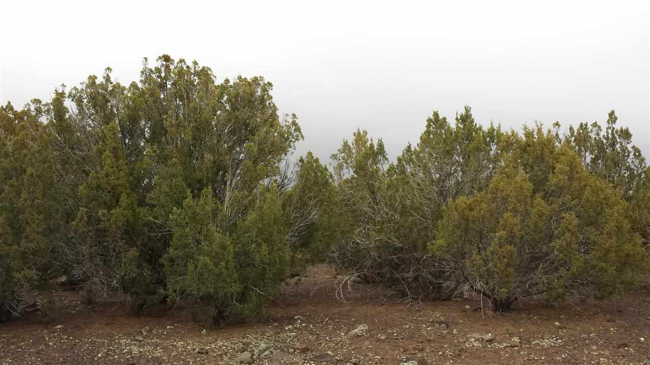 Tbd Tbd Pierson Show Low, AZ 85901 - Photo 1 of 8