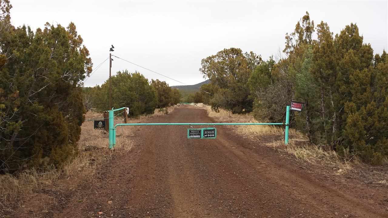 Tbd Tbd Pierson Show Low, AZ 85901 - Photo 2 of 8