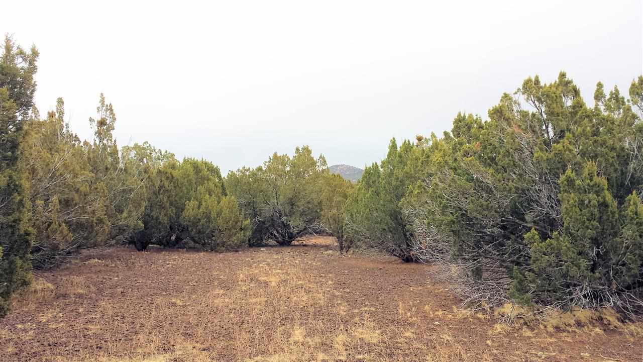 Tbd Tbd Pierson Show Low, AZ 85901 - Photo 3 of 8