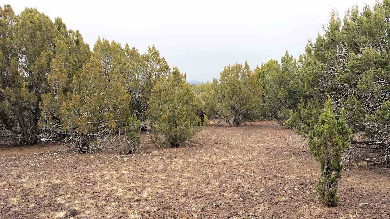 Tbd Tbd Pierson Show Low, AZ 85901 - Photo 4 of 8