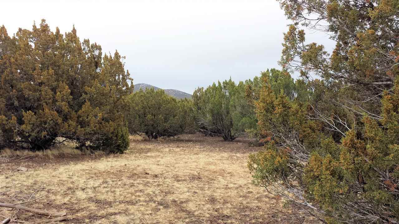 Tbd Tbd Pierson Show Low, AZ 85901 - Photo 5 of 8