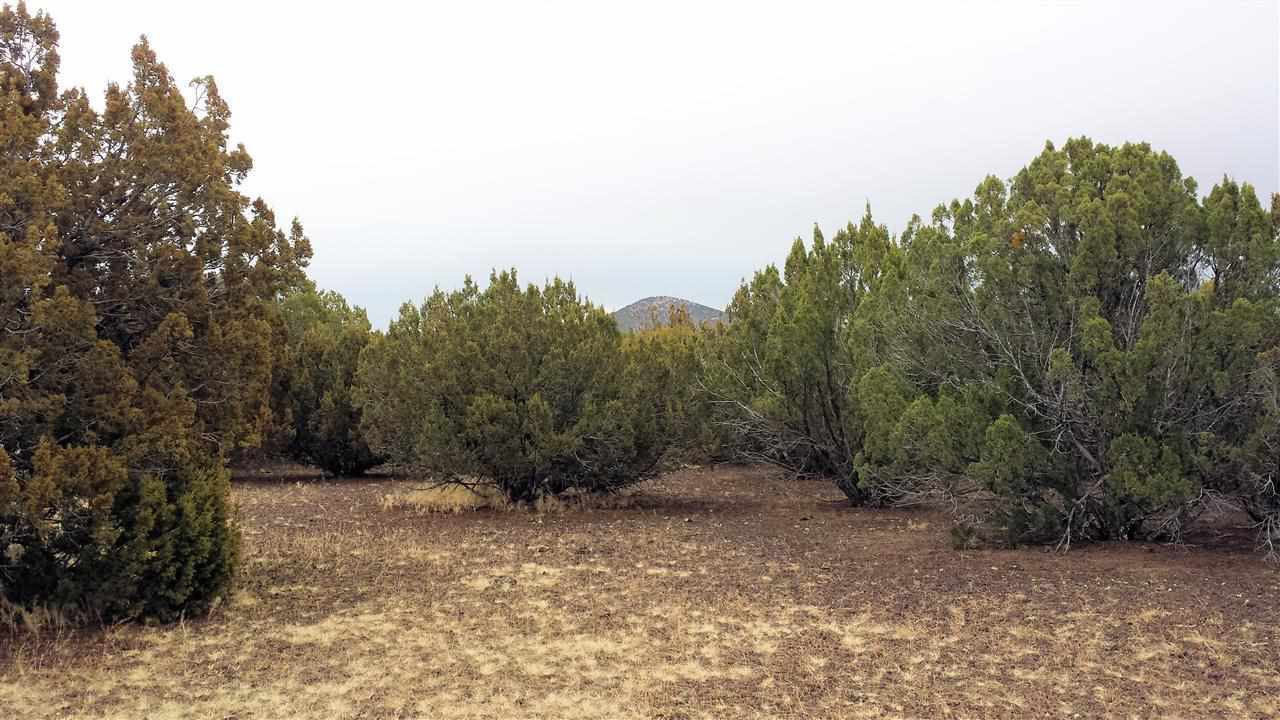 Tbd Tbd Pierson Show Low, AZ 85901 - Photo 6 of 8