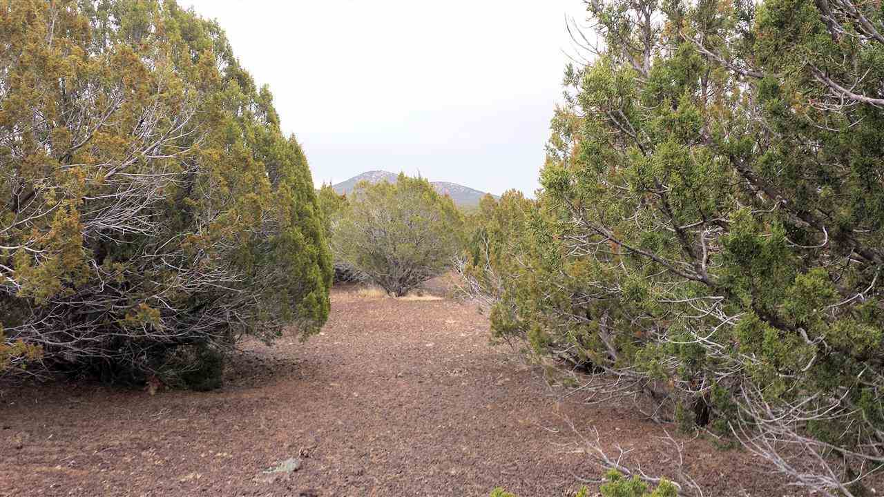 Tbd Tbd Pierson Show Low, AZ 85901 - Photo 7 of 8