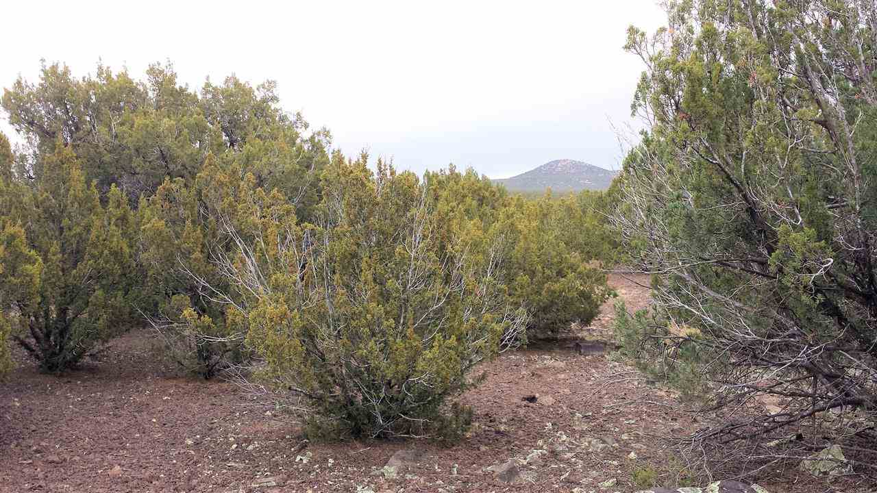 Tbd Tbd Pierson Show Low, AZ 85901 - Photo 8 of 8