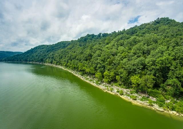 892 Cunningham Lane Baxter, TN 38544 - Photo 26 of 28 a view of a large body of water with a large trees